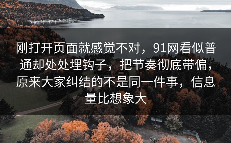 刚打开页面就感觉不对，91网看似普通却处处埋钩子，把节奏彻底带偏，原来大家纠结的不是同一件事，信息量比想象大